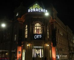CATS Premiere am 20. September 2019 im Ronacher 039 © Katharina Schiffl