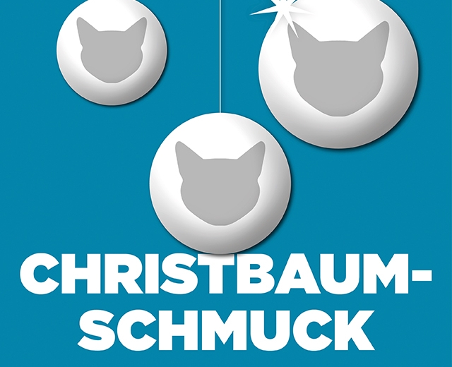 VBW JUNGES MUSICAL zu Hause | Christbaumschmuck Preview © VBW