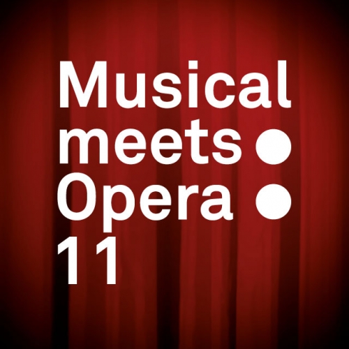 Musical Meets Opera 11 © VBW