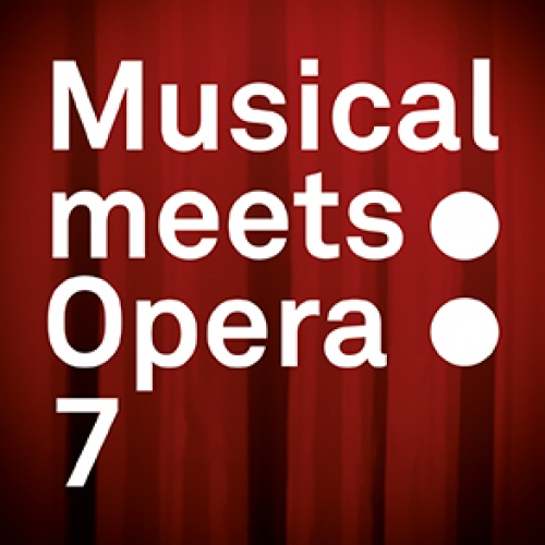 Musical meets Opera 7 © VBW