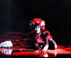 Theater an der Wien, Cats 1983-1990 004 © VBW
