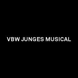 VBW Junges Musical Linkbox © VBW